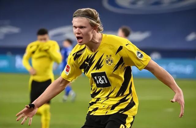 丹麦和新西 丹麦和新西