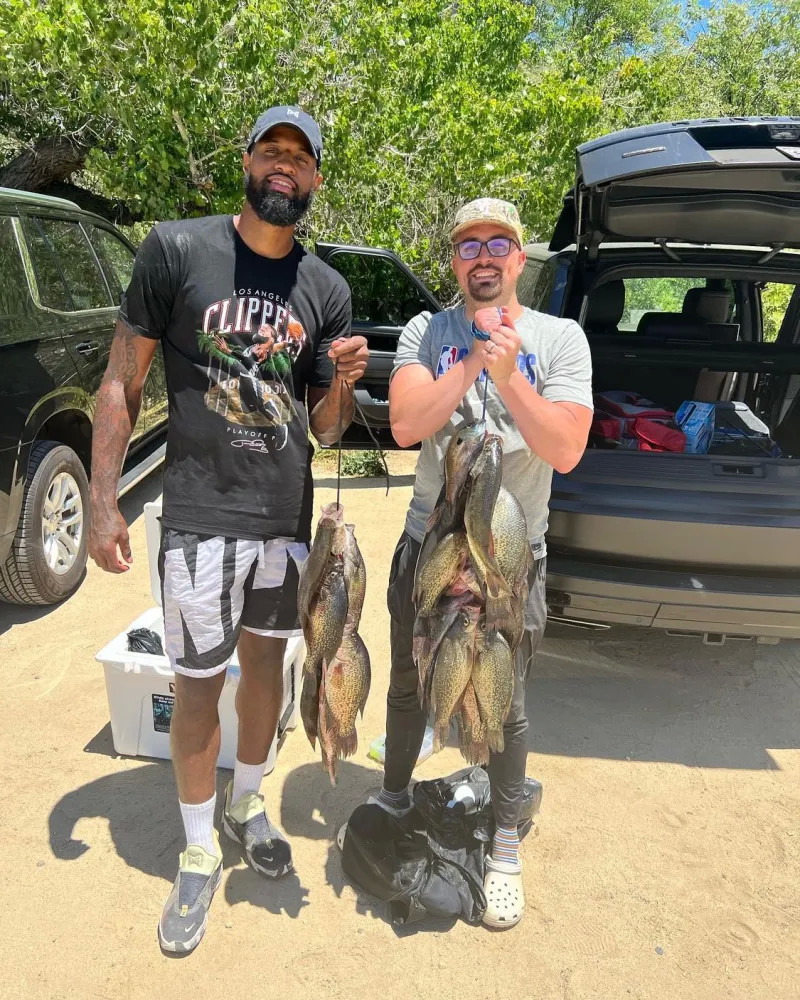 法拉利的新 法拉利的新