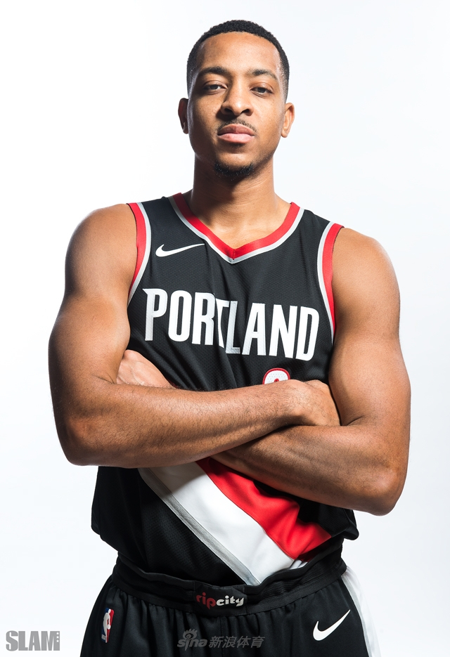 边翼卫的插 边翼卫的插