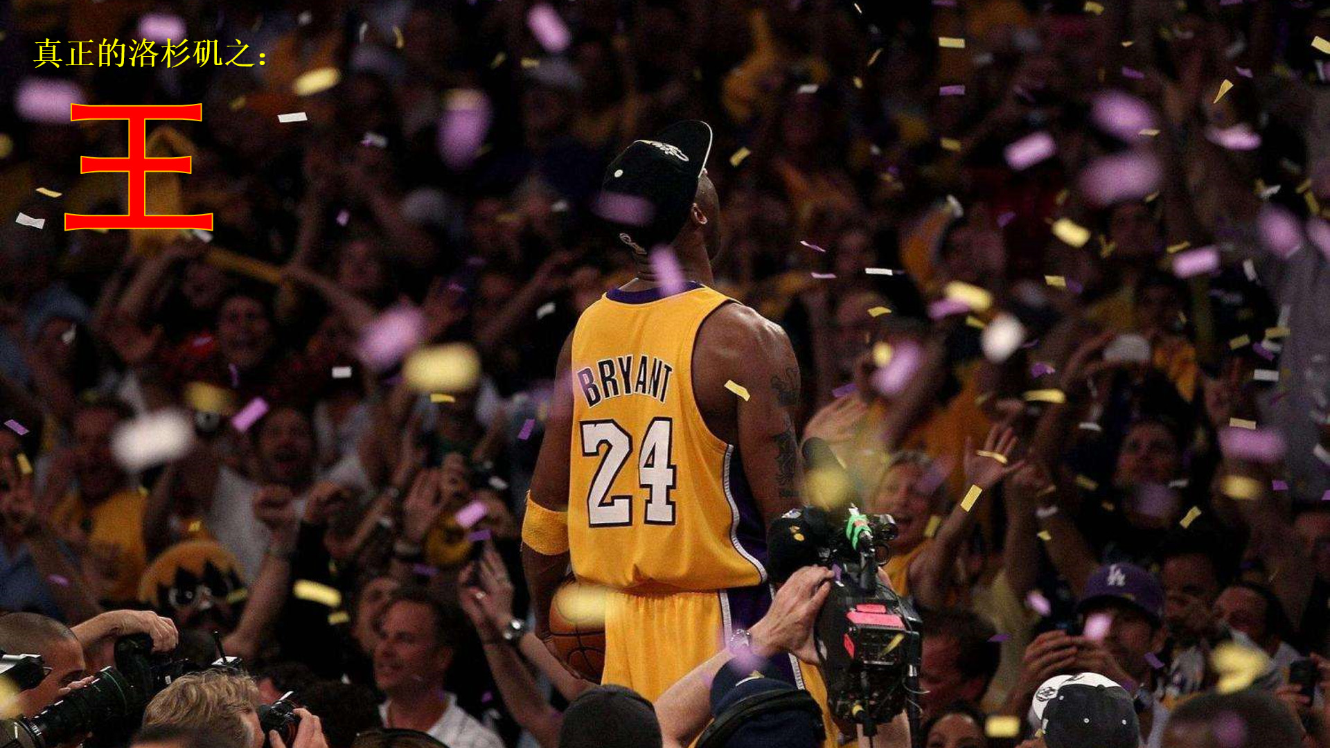 体现了自由 体现了自由